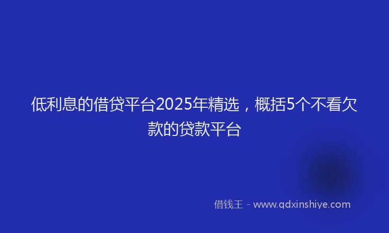 低利息的借贷平台2025年精选，概括5个不看欠款的贷款平台