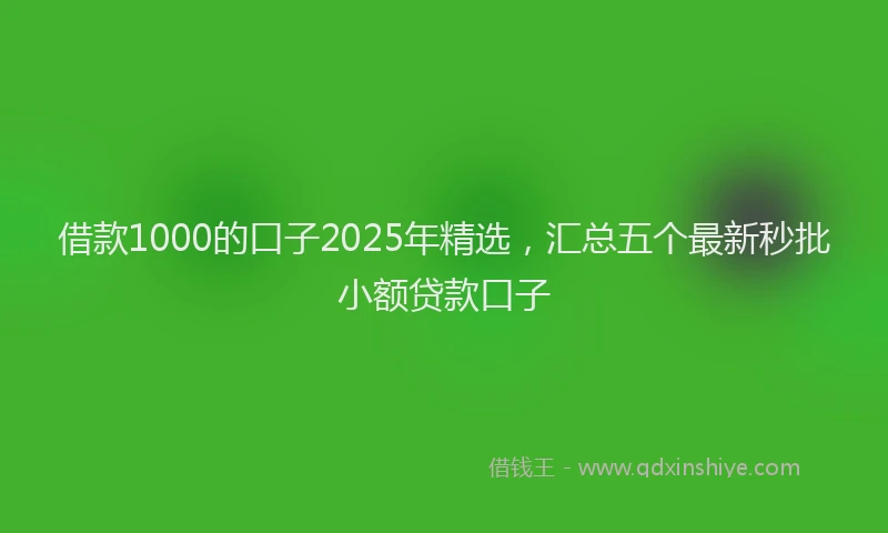借款1000的口子2025年精选，汇总五个最新秒批小额贷款口子