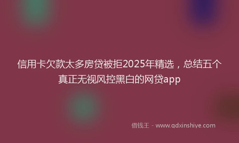 信用卡欠款太多房贷被拒2025年精选，总结五个真正无视风控黑白的网贷app
