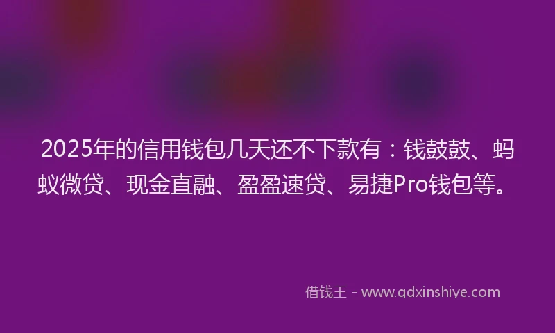 2025年的信用钱包几天还不下款有：钱鼓鼓、蚂蚁微贷、现金直融、盈盈速贷、易捷Pro钱包等。