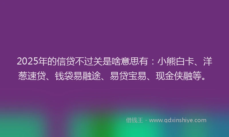 2025年的信贷不过关是啥意思有：小熊白卡、洋葱速贷、钱袋易融途、易贷宝易、现金侠融等。