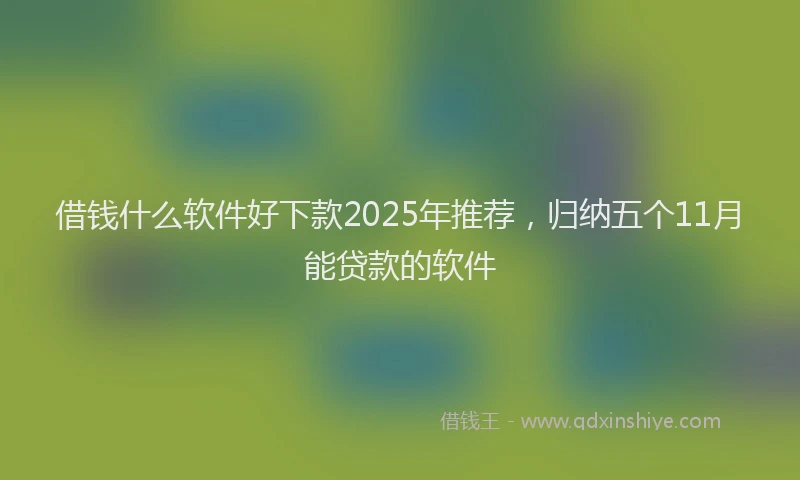 借钱什么软件好下款2025年推荐，归纳五个11月能贷款的软件