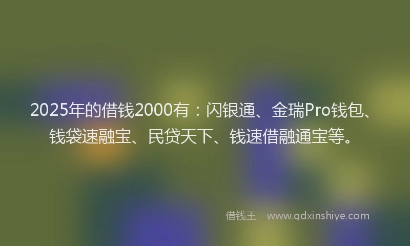 2025年的借钱2000有：闪银通、金瑞Pro钱包、钱袋速融宝、民贷天下、钱速借融通宝等。