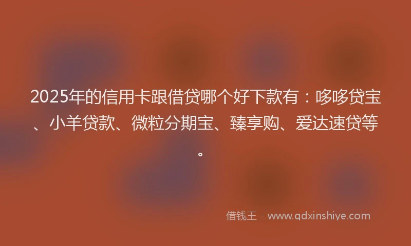 2025年的信用卡跟借贷哪个好下款有：哆哆贷宝、小羊贷款、微粒分期宝、臻享购、爱达速贷等。