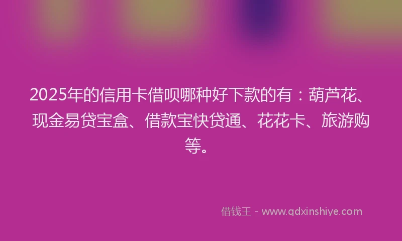 2025年的信用卡借呗哪种好下款的有：葫芦花、现金易贷宝盒、借款宝快贷通、花花卡、旅游购等。