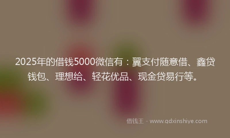 2025年的借钱5000微信有：翼支付随意借、鑫贷钱包、理想给、轻花优品、现金贷易行等。