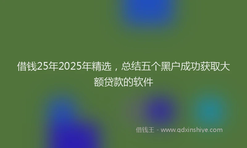 借钱25年2025年精选，总结五个黑户成功获取大额贷款的软件