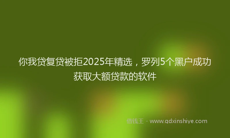 你我贷复贷被拒2025年精选，罗列5个黑户成功获取大额贷款的软件
