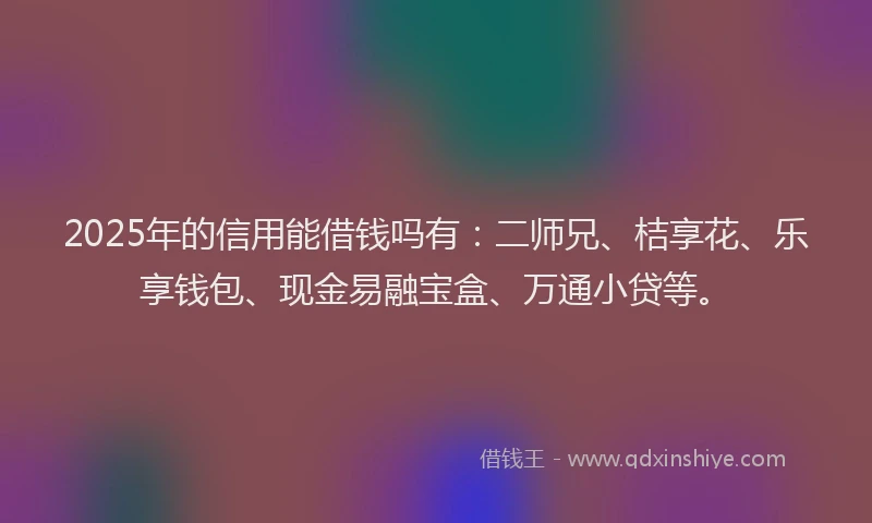 2025年的信用能借钱吗有：二师兄、桔享花、乐享钱包、现金易融宝盒、万通小贷等。
