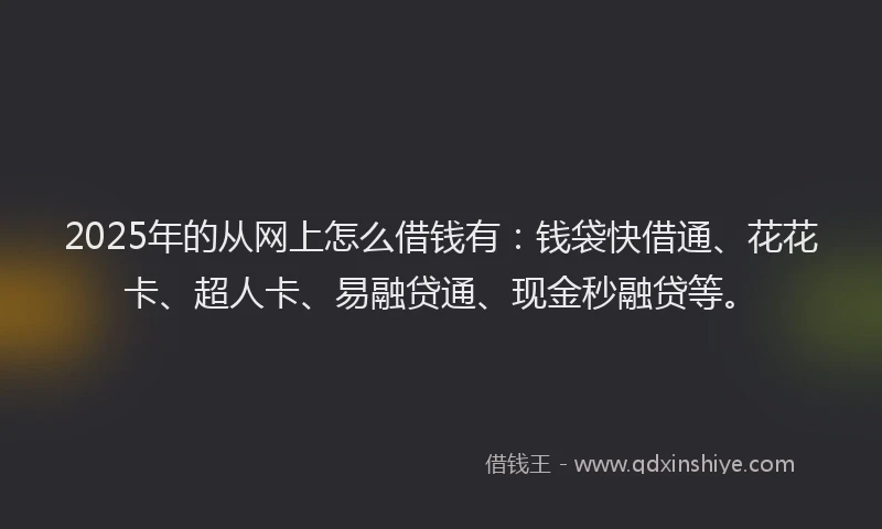 2025年的从网上怎么借钱有：钱袋快借通、花花卡、超人卡、易融贷通、现金秒融贷等。