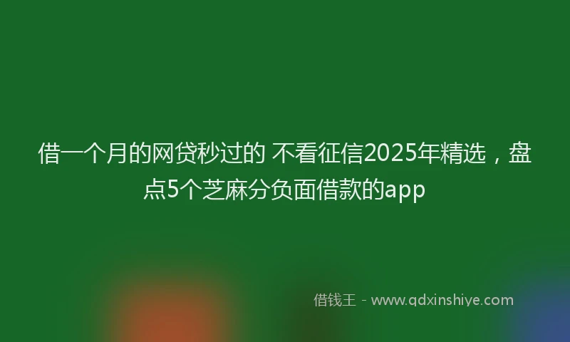 借一个月的网贷秒过的 不看征信2025年精选，盘点5个芝麻分负面借款的app