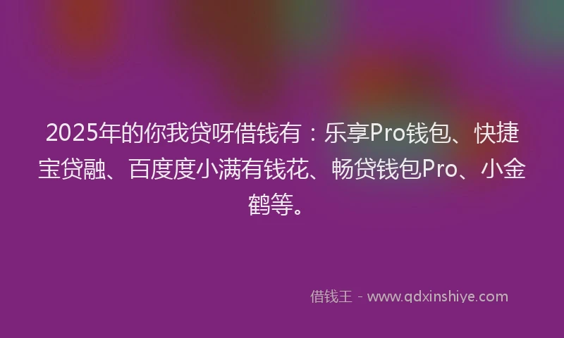 2025年的你我贷呀借钱有：乐享Pro钱包、快捷宝贷融、百度度小满有钱花、畅贷钱包Pro、小金鹤等。