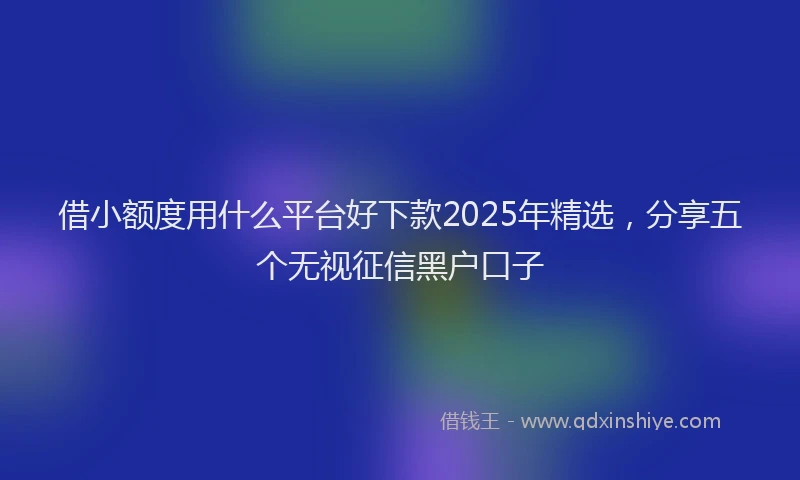 借小额度用什么平台好下款2025年精选，分享五个无视征信黑户口子