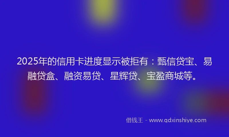 2025年的信用卡进度显示被拒有：甄信贷宝、易融贷盒、融资易贷、星辉贷、宝盈商城等。