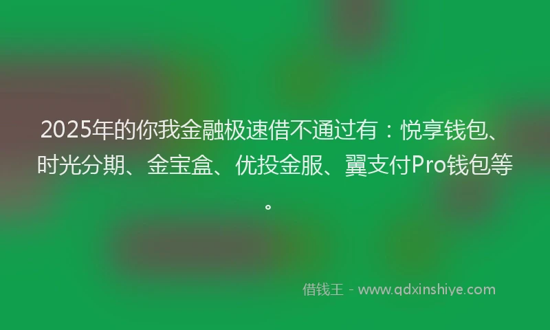 2025年的你我金融极速借不通过有：悦享钱包、时光分期、金宝盒、优投金服、翼支付Pro钱包等。