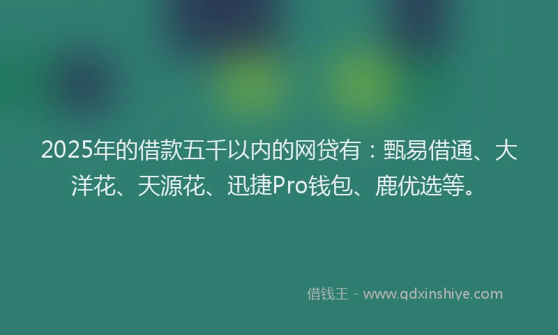 2025年的借款五千以内的网贷有：甄易借通、大洋花、天源花、迅捷Pro钱包、鹿优选等。