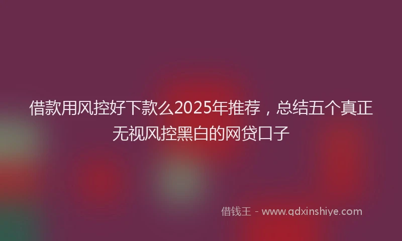 借款用风控好下款么2025年推荐，总结五个真正无视风控黑白的网贷口子