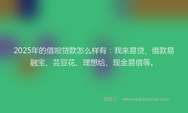 2025年的借呗贷款怎么样有：我来易贷、借款易融宝、芸豆花、理想给、现金易借等。