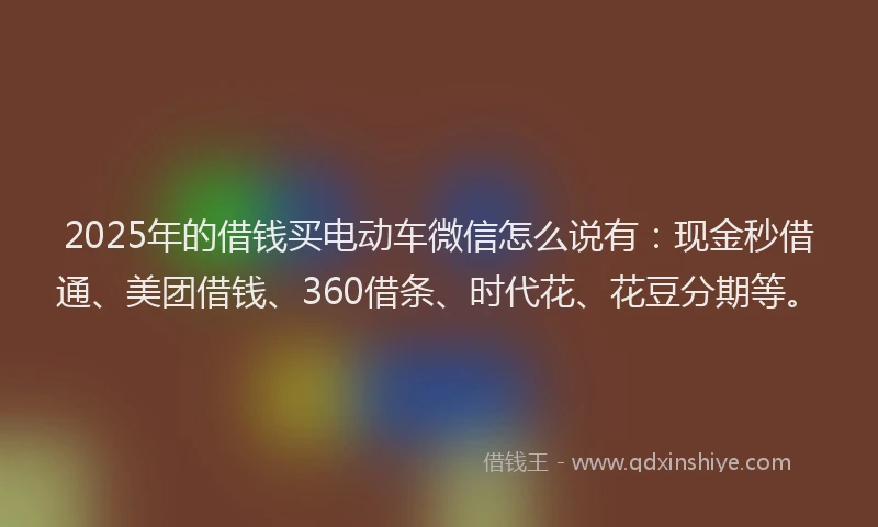 2025年的借钱买电动车微信怎么说有：现金秒借通、美团借钱、360借条、时代花、花豆分期等。