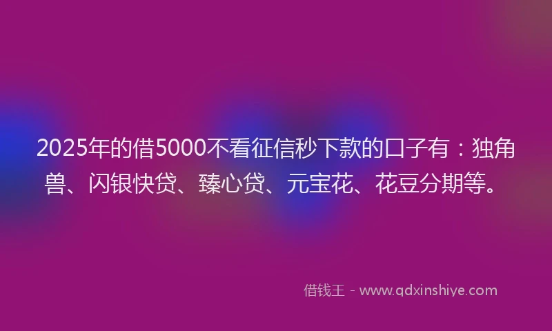 2025年的借5000不看征信秒下款的口子有：独角兽、闪银快贷、臻心贷、元宝花、花豆分期等。