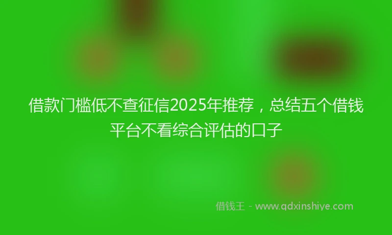 借款门槛低不查征信2025年推荐，总结五个借钱平台不看综合评估的口子