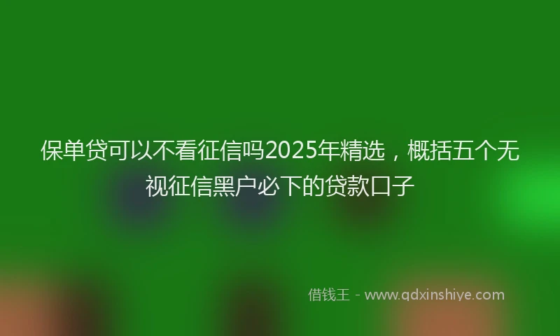 保单贷可以不看征信吗2025年精选，概括五个无视征信黑户必下的贷款口子