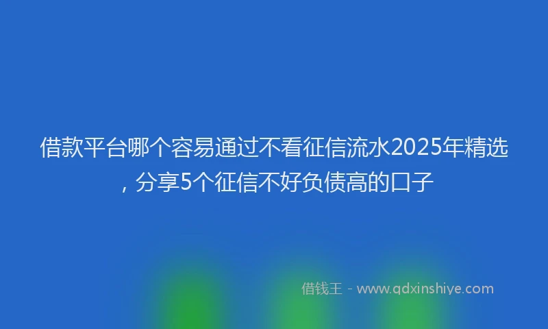 借款平台哪个容易通过不看征信流水2025年精选，分享5个征信不好负债高的口子