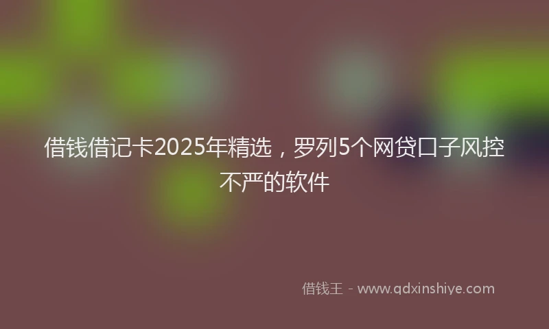 借钱借记卡2025年精选，罗列5个网贷口子风控不严的软件