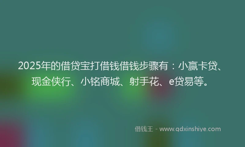 2025年的借贷宝打借钱借钱步骤有：小赢卡贷、现金侠行、小铭商城、射手花、e贷易等。
