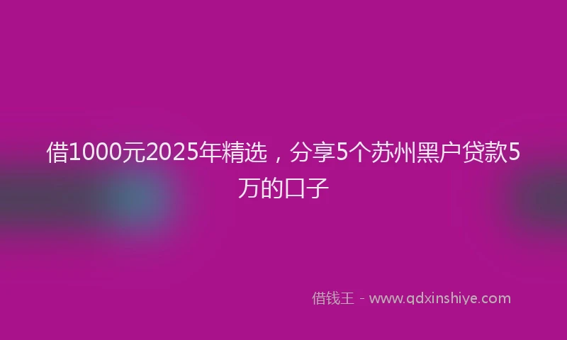 借1000元2025年精选，分享5个苏州黑户贷款5万的口子