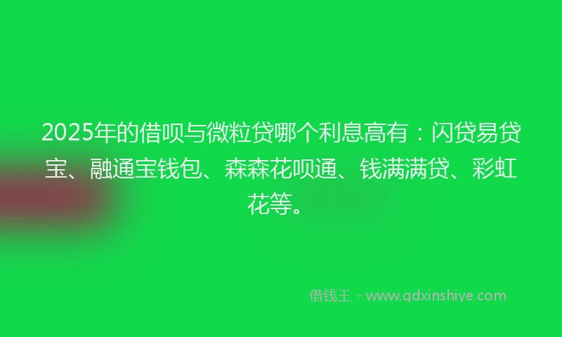 2025年的借呗与微粒贷哪个利息高有：闪贷易贷宝、融通宝钱包、森森花呗通、钱满满贷、彩虹花等。