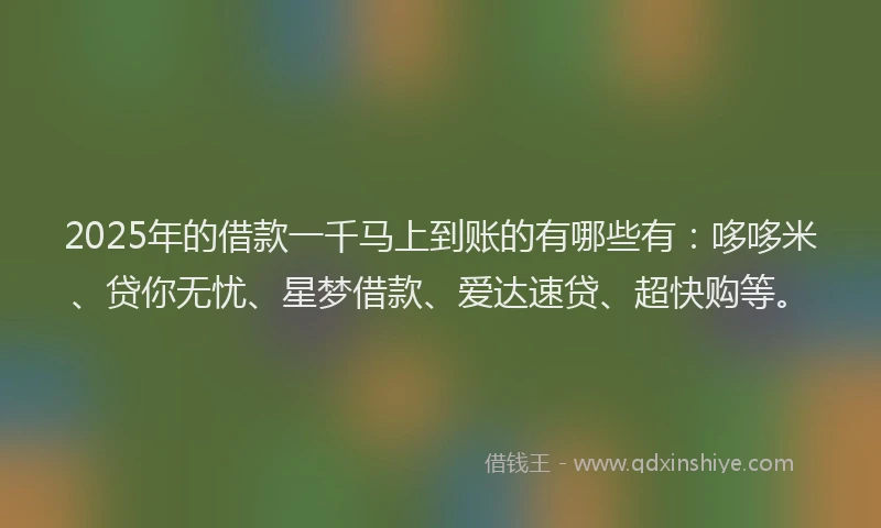 2025年的借款一千马上到账的有哪些有：哆哆米、贷你无忧、星梦借款、爱达速贷、超快购等。