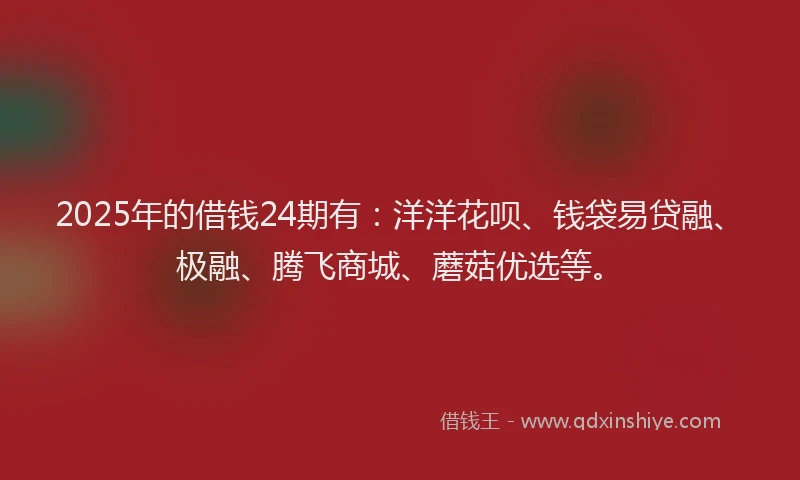 2025年的借钱24期有：洋洋花呗、钱袋易贷融、极融、腾飞商城、蘑菇优选等。