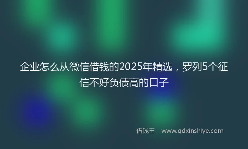 企业怎么从微信借钱的2025年精选，罗列5个征信不好负债高的口子