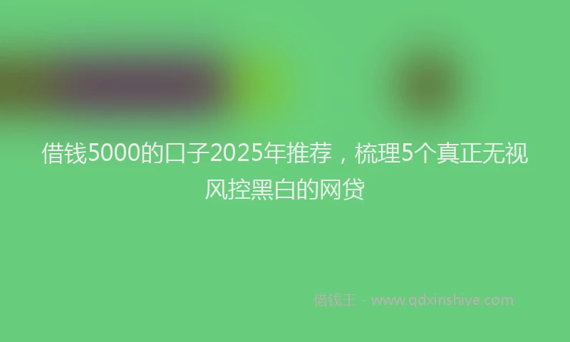 借钱5000的口子2025年推荐，梳理5个真正无视风控黑白的网贷