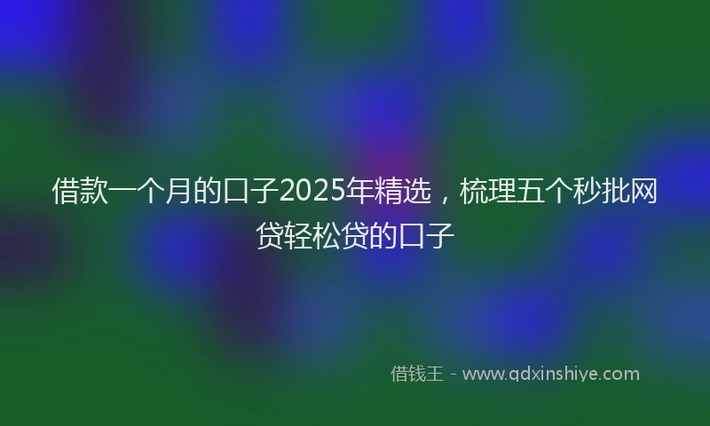 借款一个月的口子2025年精选，梳理五个秒批网贷轻松贷的口子