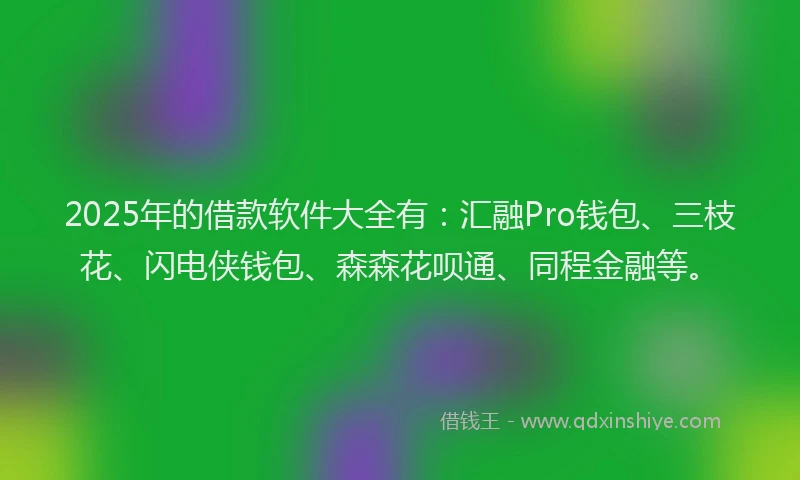 2025年的借款软件大全有：汇融Pro钱包、三枝花、闪电侠钱包、森森花呗通、同程金融等。