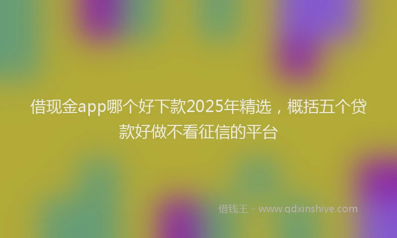 借现金app哪个好下款2025年精选，概括五个贷款好做不看征信的平台