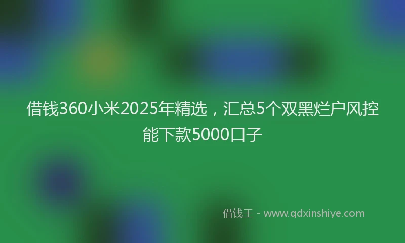 借钱360小米2025年精选，汇总5个双黑烂户风控能下款5000口子