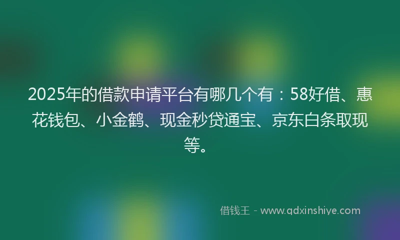 2025年的借款申请平台有哪几个有：58好借、惠花钱包、小金鹤、现金秒贷通宝、京东白条取现等。