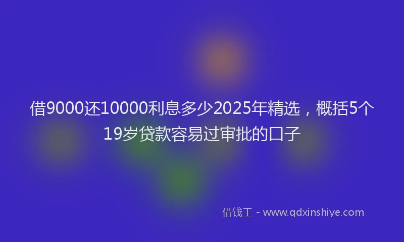 借9000还10000利息多少2025年精选，概括5个19岁贷款容易过审批的口子