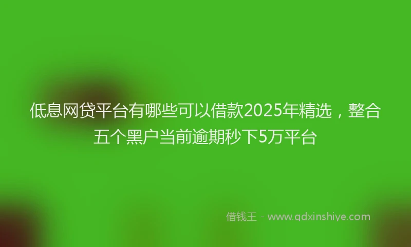 低息网贷平台有哪些可以借款2025年精选，整合五个黑户当前逾期秒下5万平台