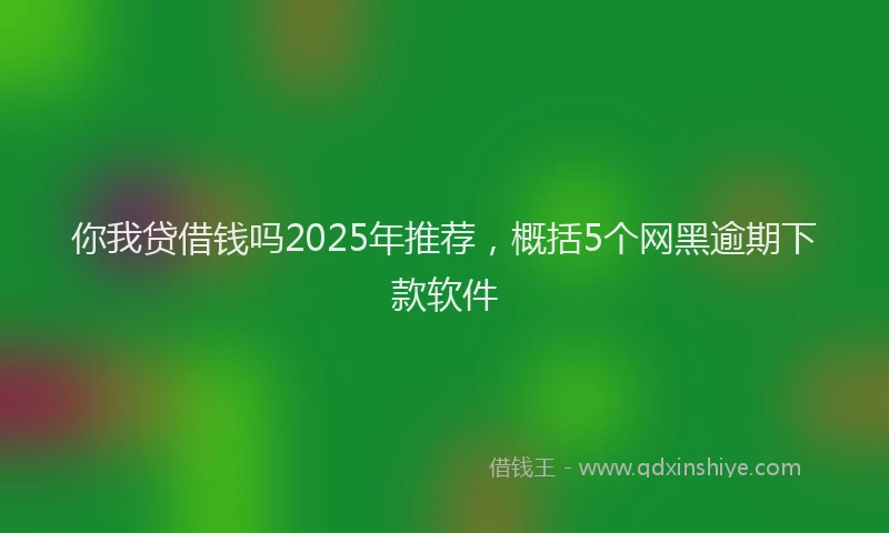 你我贷借钱吗2025年推荐，概括5个网黑逾期下款软件