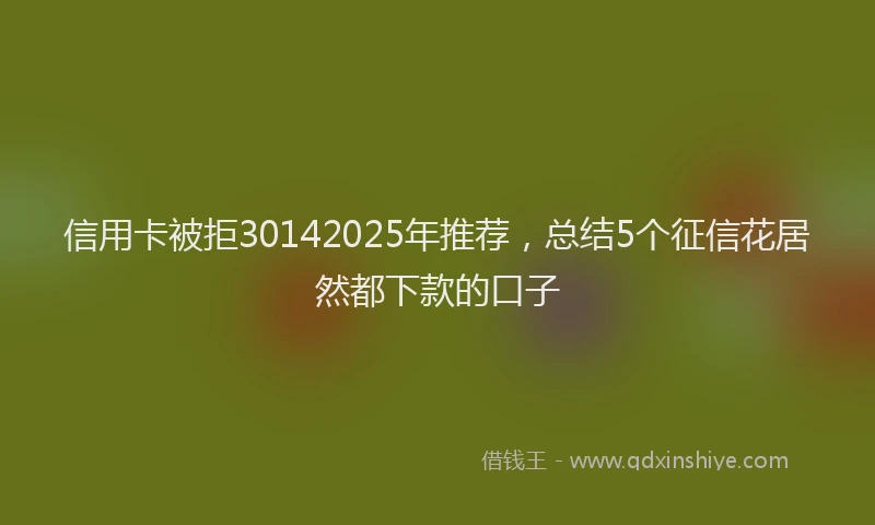 信用卡被拒30142025年推荐，总结5个征信花居然都下款的口子