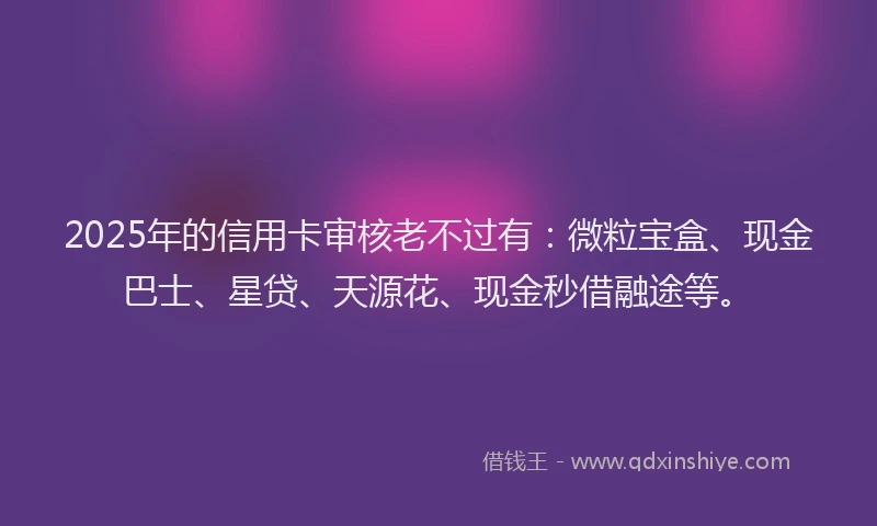 2025年的信用卡审核老不过有：微粒宝盒、现金巴士、星贷、天源花、现金秒借融途等。