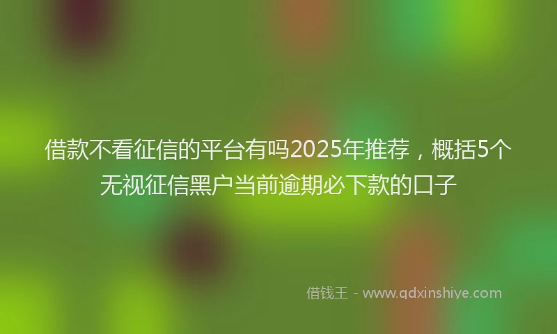 借款不看征信的平台有吗2025年推荐，概括5个无视征信黑户当前逾期必下款的口子