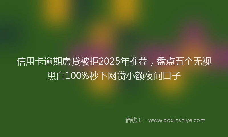 信用卡逾期房贷被拒2025年推荐，盘点五个无视黑白100%秒下网贷小额夜间口子