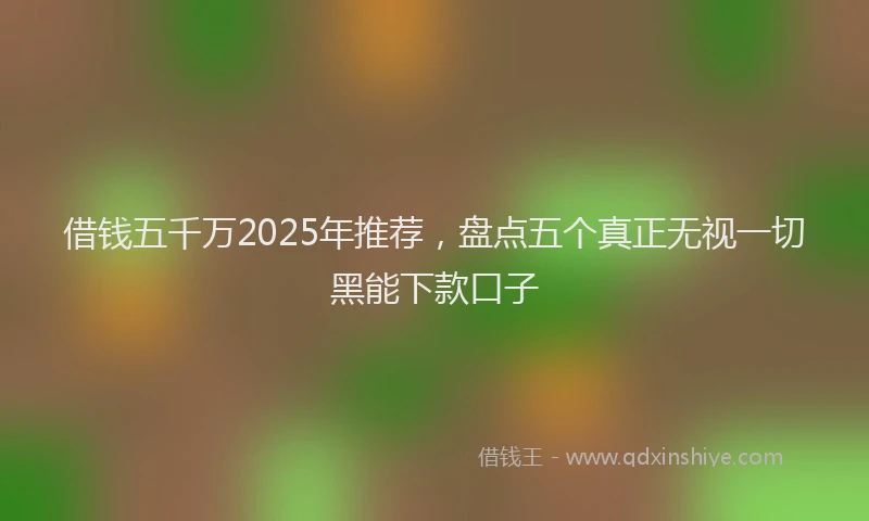 借钱五千万2025年推荐，盘点五个真正无视一切黑能下款口子