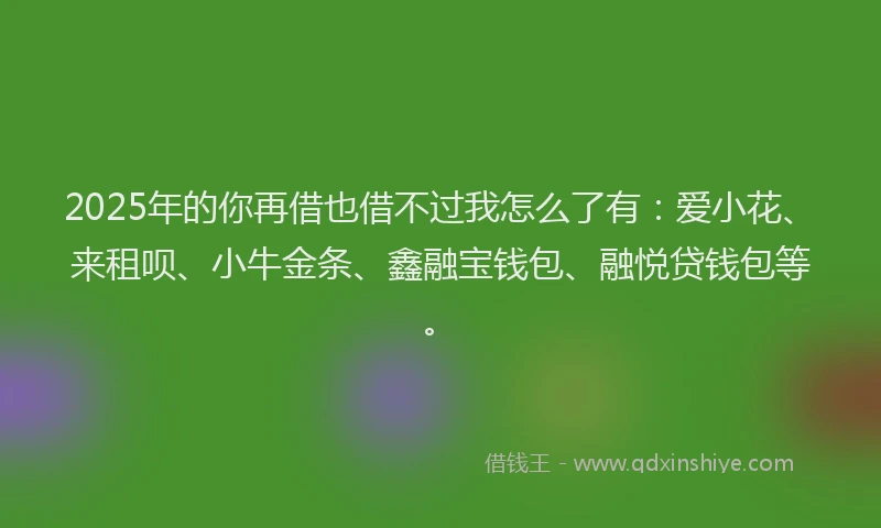 2025年的你再借也借不过我怎么了有：爱小花、来租呗、小牛金条、鑫融宝钱包、融悦贷钱包等。