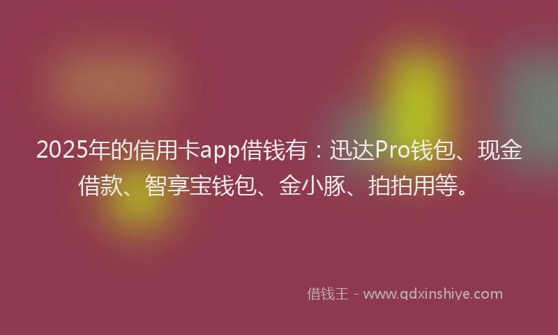 2025年的信用卡app借钱有：迅达Pro钱包、现金借款、智享宝钱包、金小豚、拍拍用等。